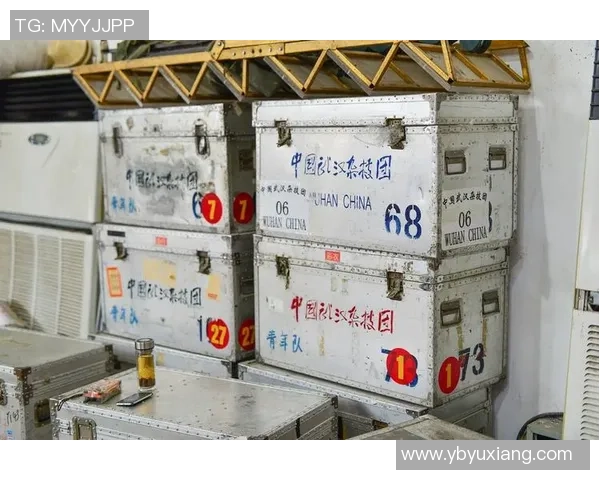 武汉排球队逆袭之路揭秘：从默默无闻到世界杯舞台的辉煌历程